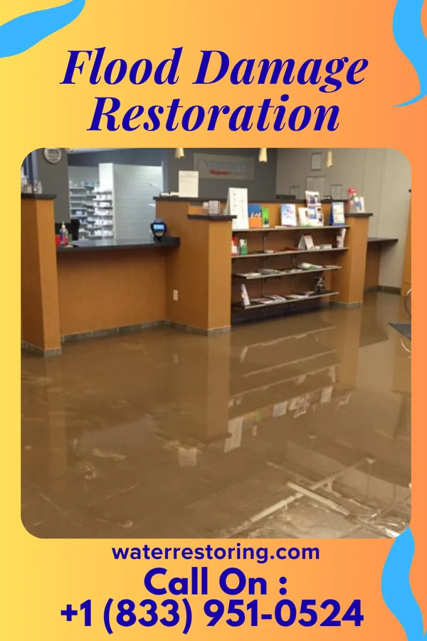 Flood Damage Restoration in Old River-Winfree, TX